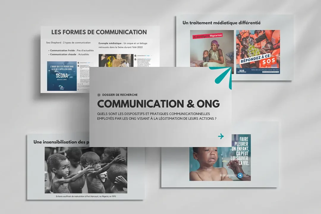 ONG et légitimation